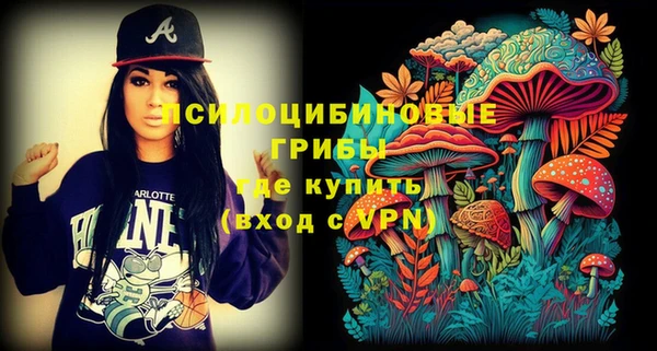 ешки Верея
