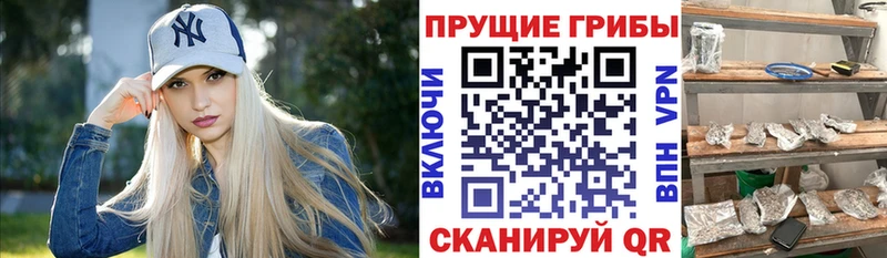 Псилоцибиновые грибы прущие грибы  это официальный сайт  Новосокольники  где можно купить  